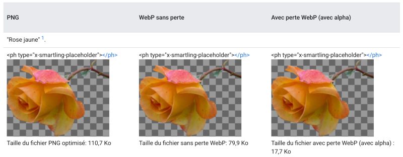 Comparaison entre 3 photos avec ou sans perte WEBP