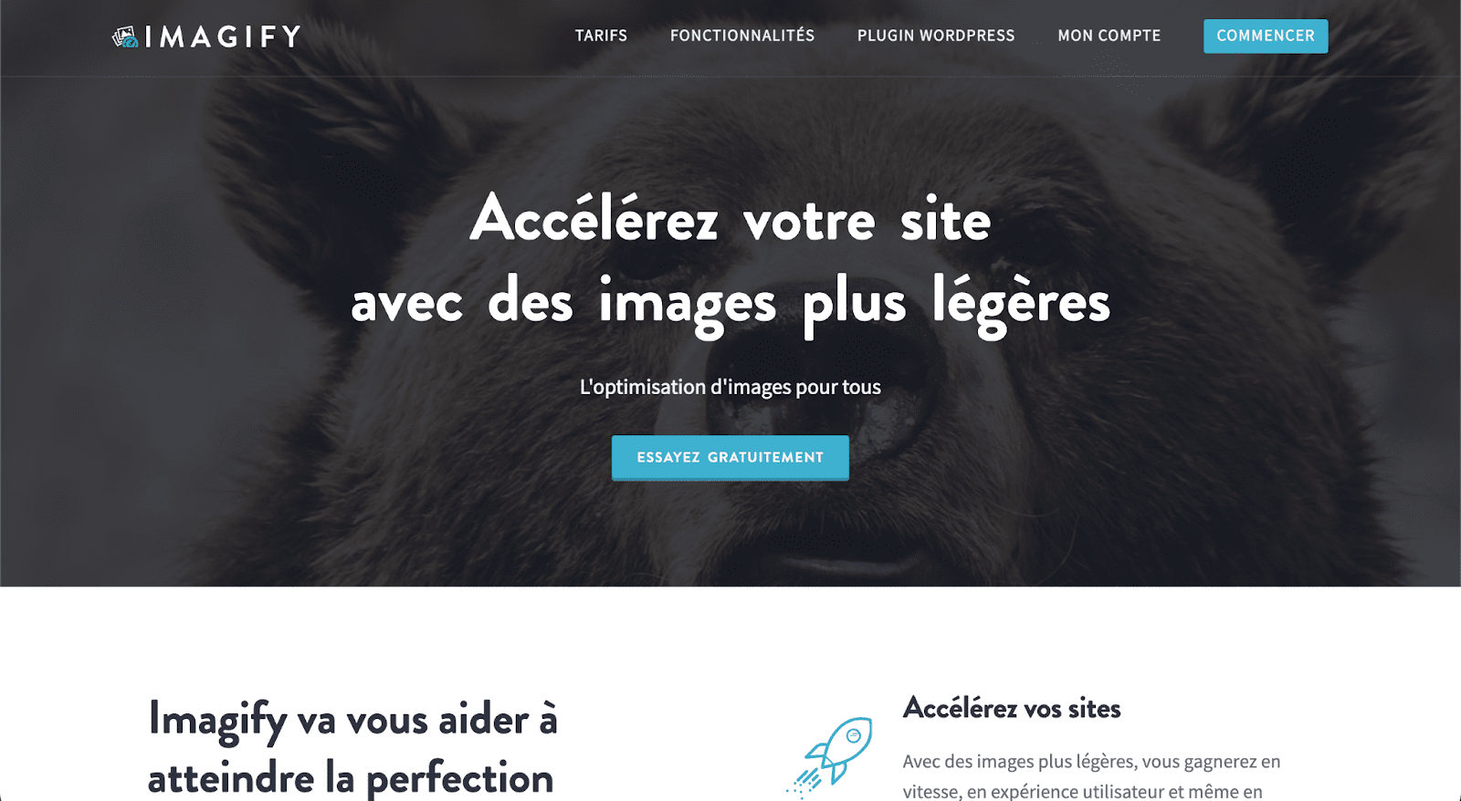 Formats WebP et WebM : définition et avantages pour le web